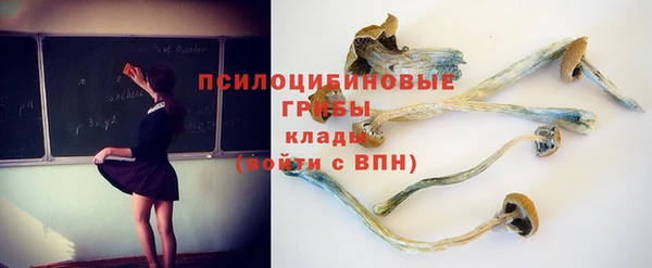 шишки Абаза