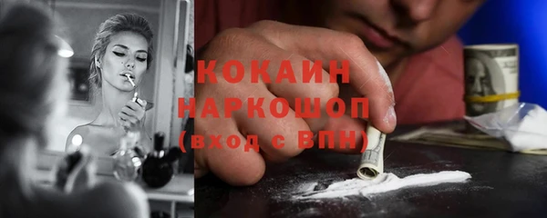 шишки Абаза